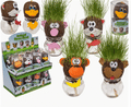 Animal græshoved, 12,5 cm, 5 varianter, i plastikæske