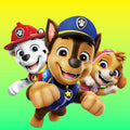 Stor festpakke med Paw Patrol til 8 personer