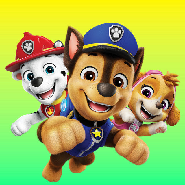 Stor festpakke med Paw Patrol til 8 personer